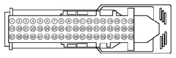 G11915611
