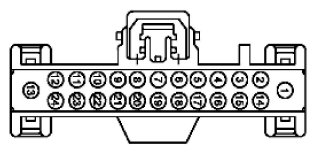 G11915829