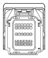 G11916045