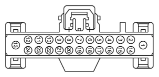 G11916048