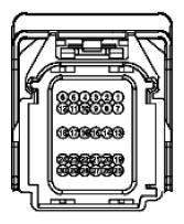G11916064