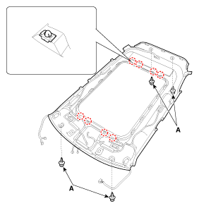 G11934461