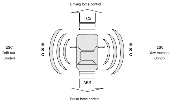 G11953898
