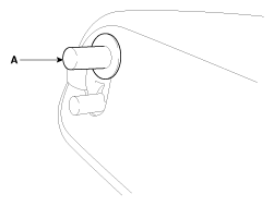 G11954451