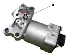G11955636