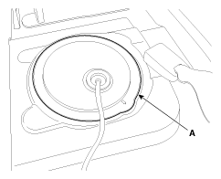 G11955655
