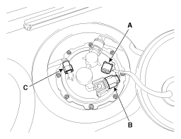 G11955656
