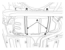 G11955661