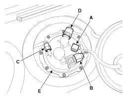 G11955665