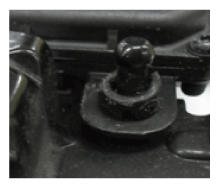 G12053772