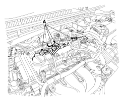 G12066118