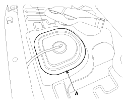 G12129481