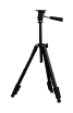 G12146496
