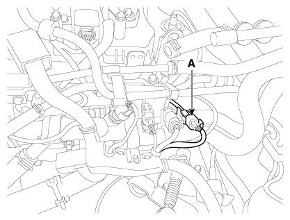 G12146882