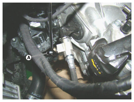 G12161560