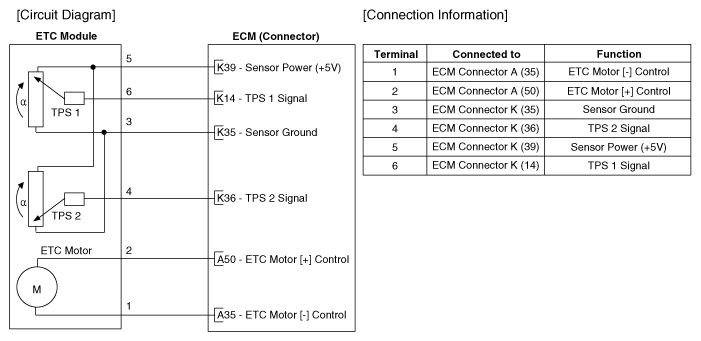 G12162386