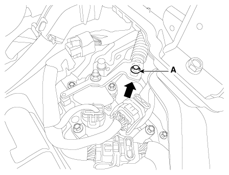 G12163568
