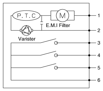 G12164668