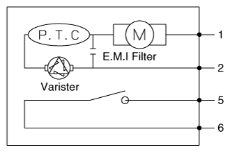 G12164672