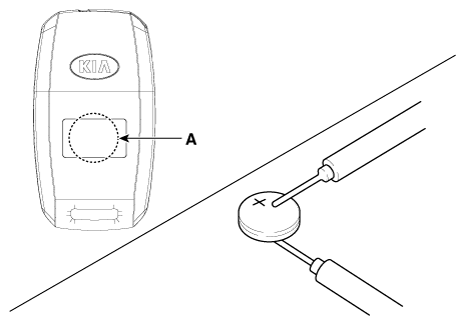 G12164688