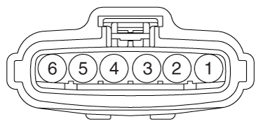 G12165579