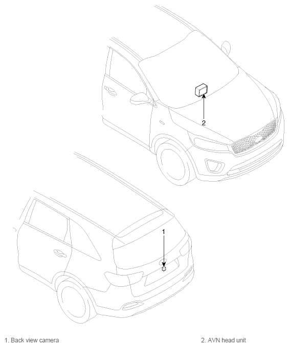 G12173596