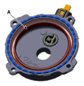 G12177572