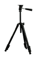G12181284