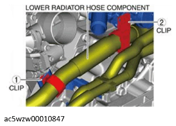 G12184194