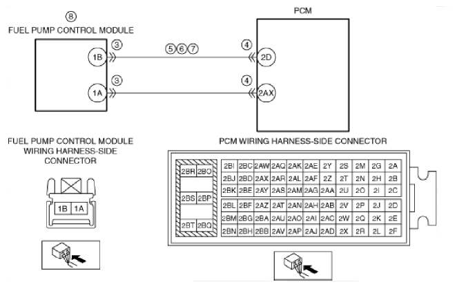 G12185271
