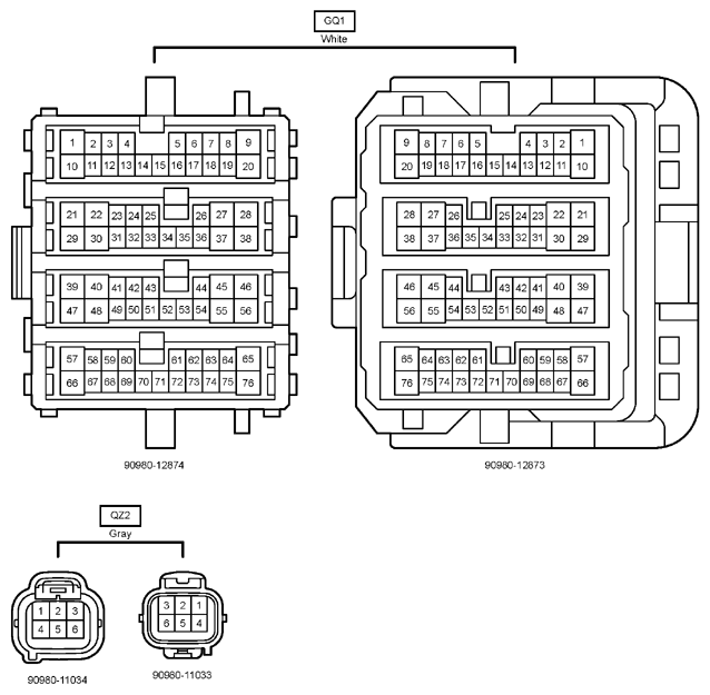 G12204131