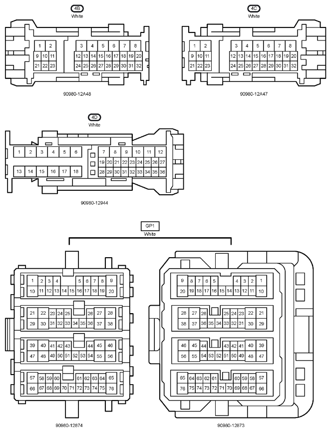 G12204313