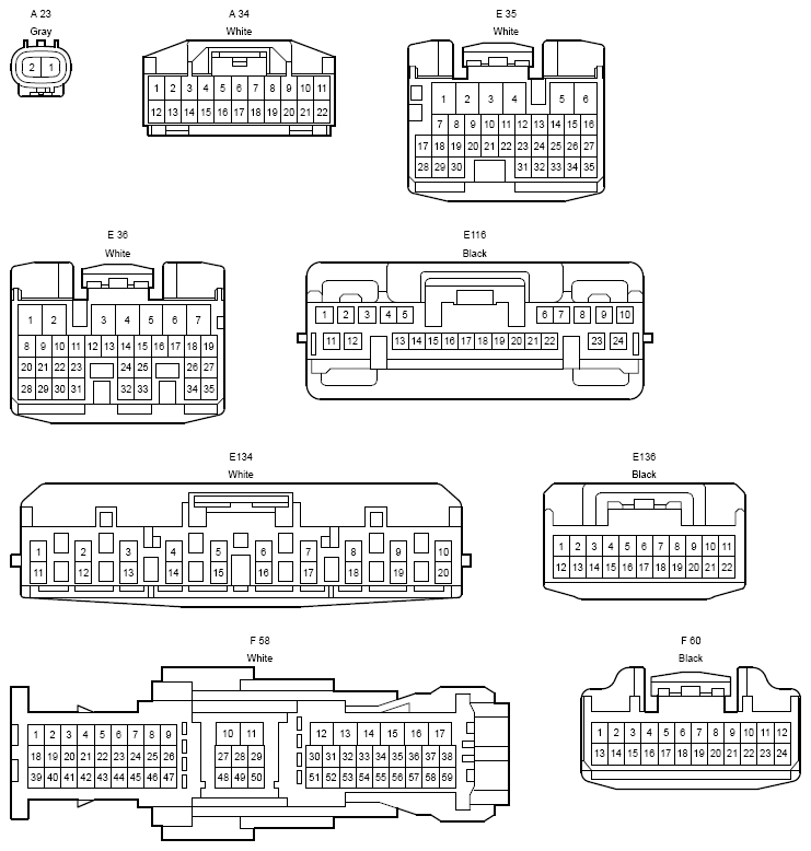 G12206491