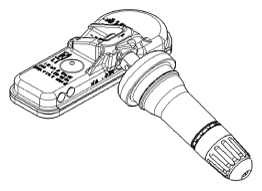 G12229325