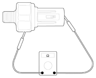 G12576273