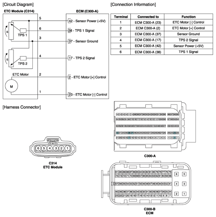 G12606881