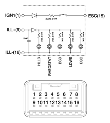 G12613772