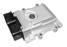 G12657890