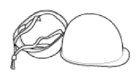 G12696036