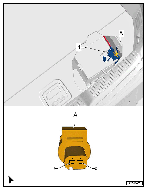 G12778575
