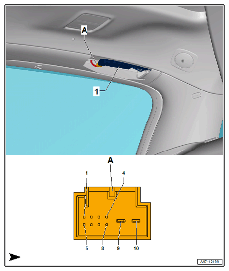G12779753
