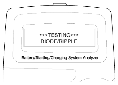 G12826565