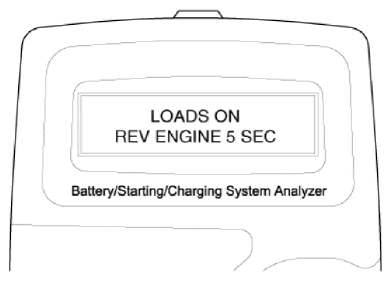 G12826568