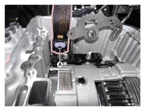 G12885817