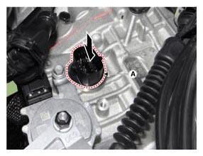 G12885821