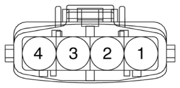 G12915389