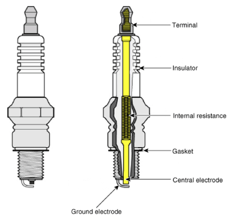G12976834
