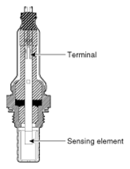 G12980896