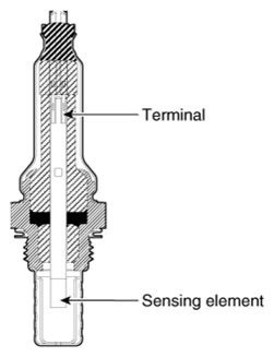 G12998219