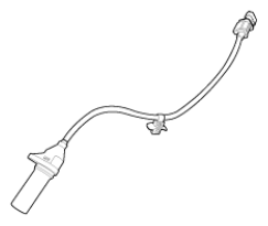 G13015582